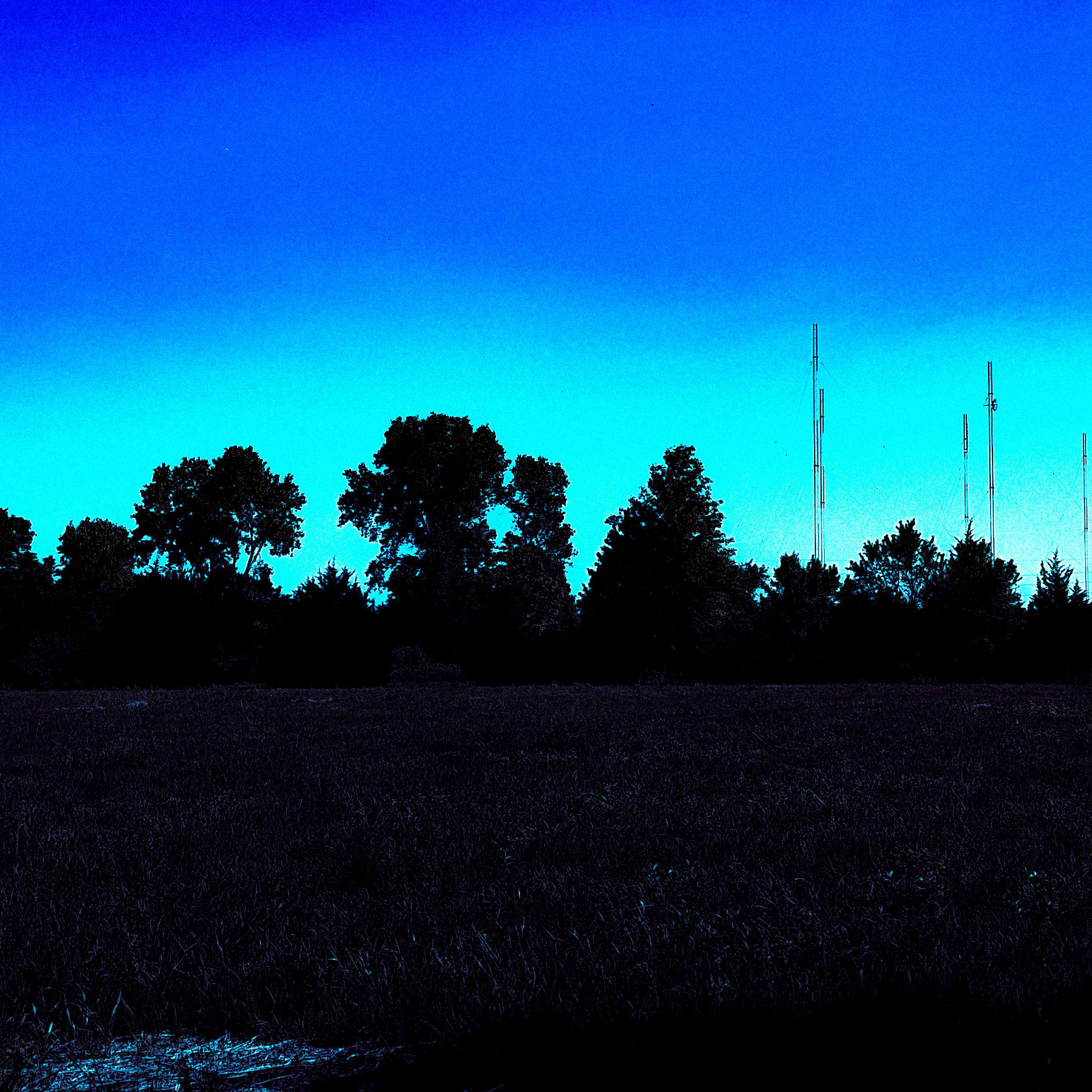 Album Cover: Meadow